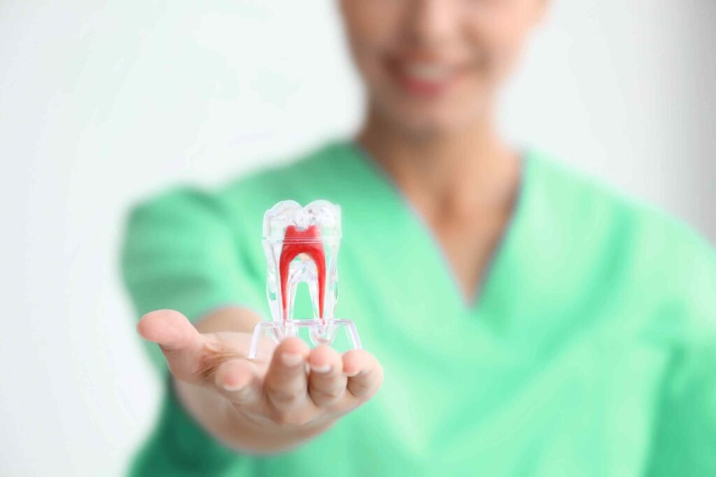 What to know about antibiotics and tooth infections Tuncurry Dental Care